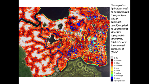 Heatmap shows wide topographical diversity at the Motts Mullica Wilderness. In-photo text reads: "Homogenized hydrology leads to homogenized topography -- this is an approach usually applied to uplands that identifies topographic landforms. Ditched marsh is composed primarily of 'flats.'"