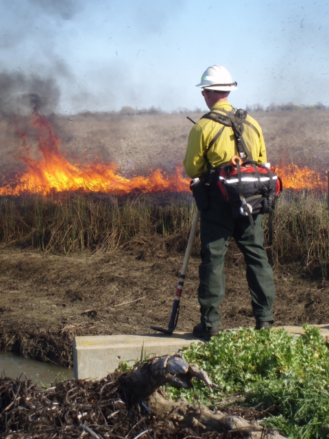 Refuge staff member conducting a prescribed burn on a dry wetland