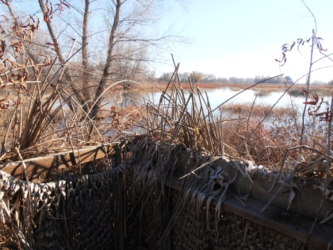 view from inside hunt blind. blind covered with tule bundles and fastgrass. water in background with vegetation