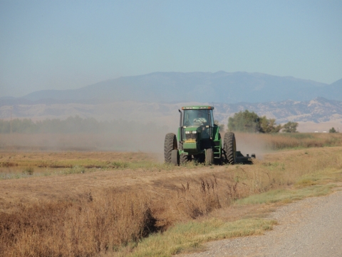 tractor mowing levee road with mountains in background