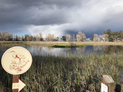 wetland trail with water and storm clouds in background. arrow pointing to the right on wood post with heron on sign