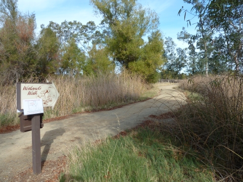 Picture of Wetlands Walk trailhead sign at Sacramento NWR