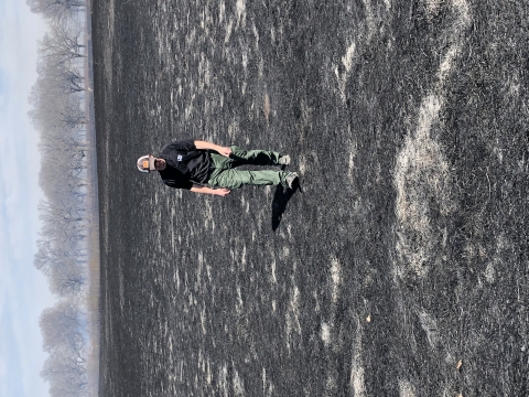 Person walks on recently burned prairie