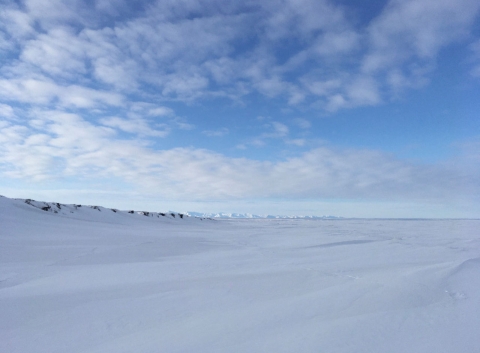 a snow covered landscape