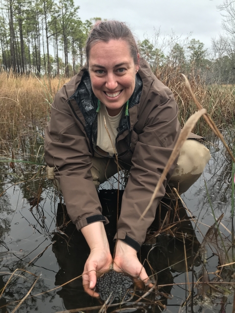 Woman standing in a field of ankle deep water, holding a mass of frog eggs in both hands.