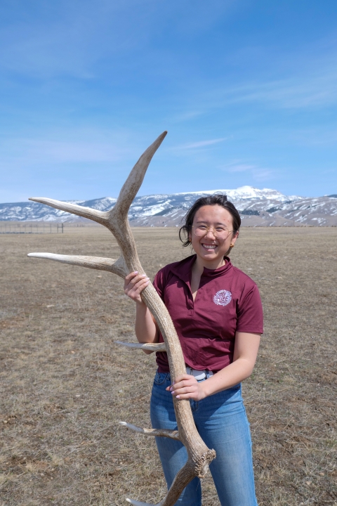 A woman holds a large antler in a field with distant mountains