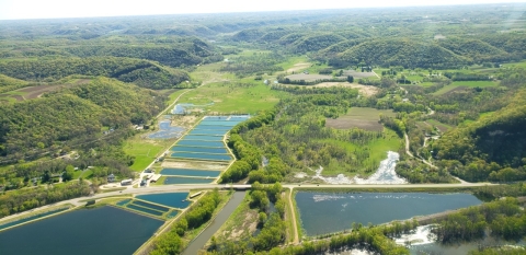 An aerial photo of the fish hatchery. Green hills are peppered with many small square ponds where fish are raised. 