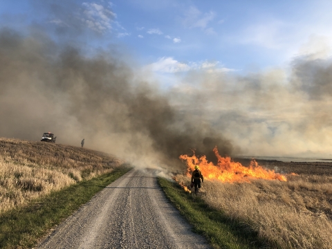 Wildland firefighter faces towards fire with moderate smoke
