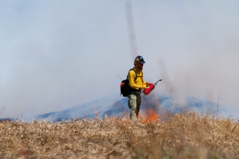 Fire crew member managing a prescribed burn.