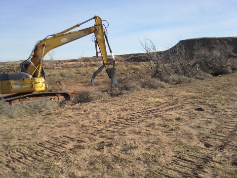 Salt cederal removal efforts in New Mexico