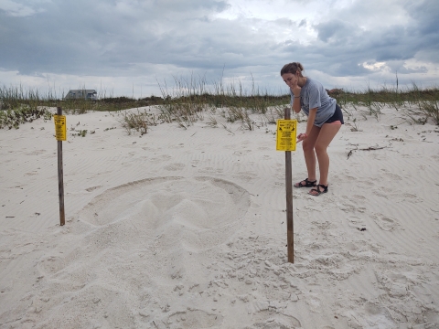 Girl standing next to a sea turtle nest