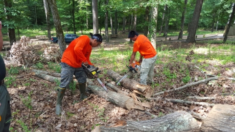 Two people in orange t-shirts cutting up a log with chainsaws