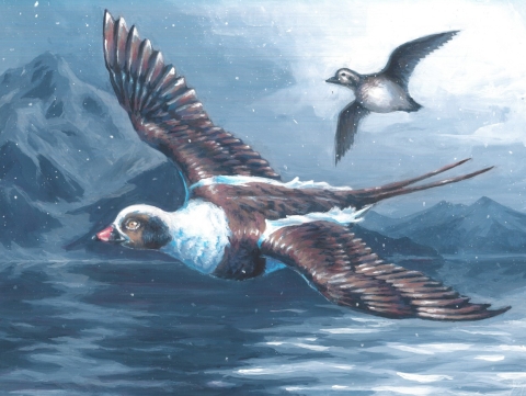 two ducks flying at night over water with mountains in the background