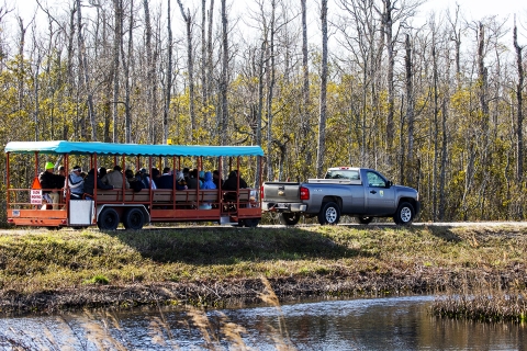 Tram Tour at Alligator River NWR