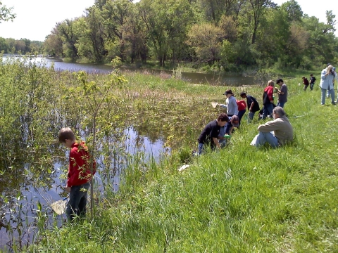 Students stand along a wetland with small nets in hand.