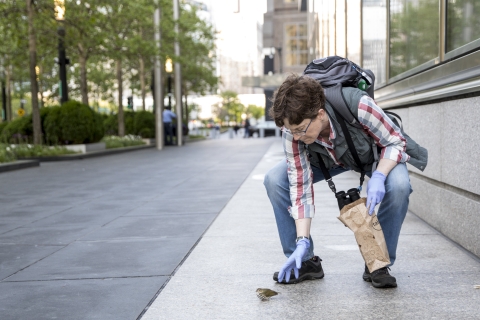 A person wearing gloves bending over to pick up a disoriented bird on a city sidewalk