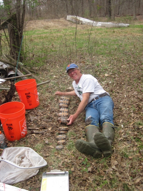 A man in field clothes lays in a field. Posed next to him are a row of approximately 11 turtles of varying sizes. The man is smiling proudly. 