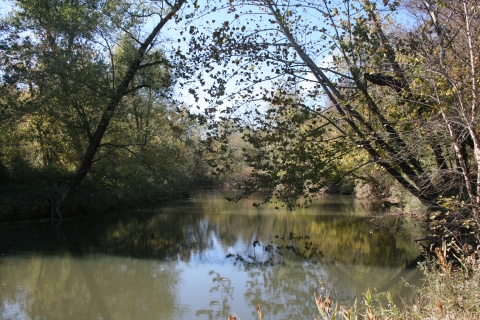 The Clarks River with trees reflecting in the muddy water.