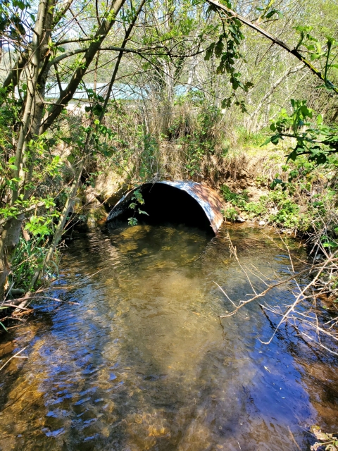 Illingsworth inlet culvert
