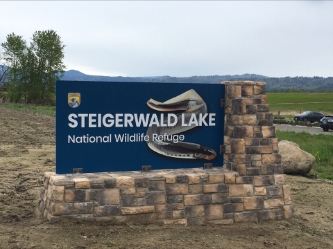 Blue entrance sign on a stone platform with text that reads Steigerwald Lake National Wildlife Refuge. There is a picture of a lamprey behind the letters. Grass and trees and a parking lot is in the background. 