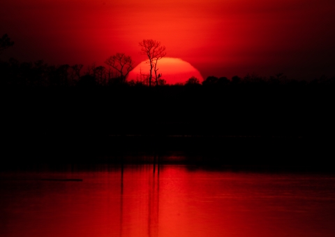 A large blood-red sun sets over Blackwater Refuge, casting its reflection in the water.