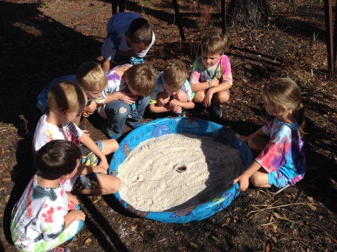 Junior Ranger Camp grades K-1 checking out scent station