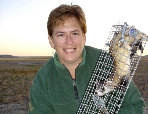 Portrait of Dr. Tonie Rocke holding a black-footed ferret in a kennel.