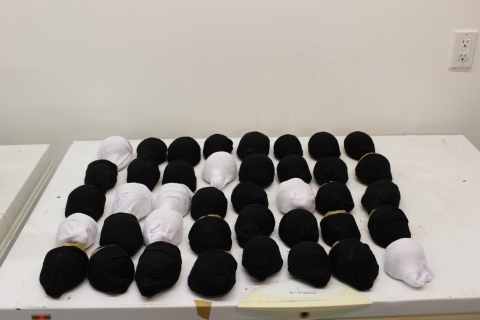 Lined up in neat rows on a white table, 40 turtles individually wrapped in black and white socks. 