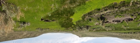 A green riparian landscape can be seen with mountains in the background.