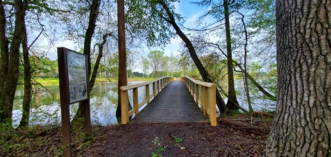 Photo of trail boardwalk crossing a creek.