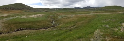 A green riparian landscape can be seen with mountains in the background.