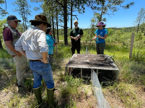 Biologists from the U.S. Fish and Wildlife Service, U.S. Forest Service and the Center for the Environmental Management of Military Lands discuss the operation of live snake traps near Fort Polk, Louisiana, May 26, 2022. S