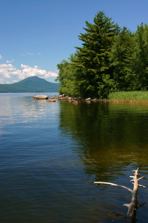 A lake shoreline with a mountain and trees visible