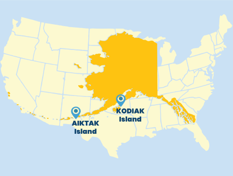 A yellow map of the contiguous US with a dark yellow map of Alaska superimposed and location markers for Aiktak and Kodiak Islands