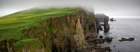 A green island with high sea cliffs