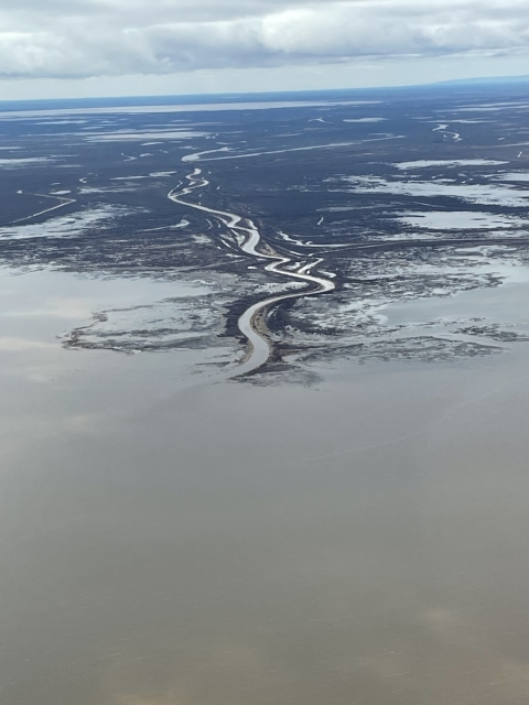aerial view of wetlands in Alberta