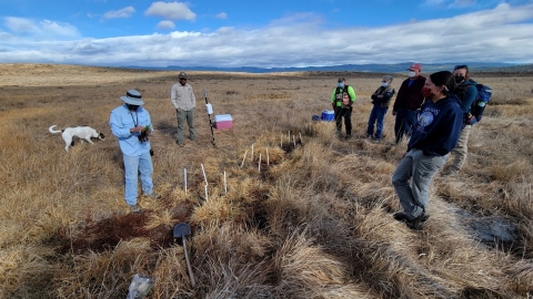 Burns Paiute Tribe staff, partners, and volunteers met at Logan Valley to plant Oregon semaphore grass
