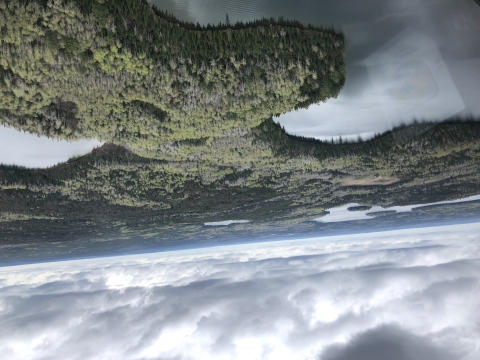 View of boreal forests from an airplane
