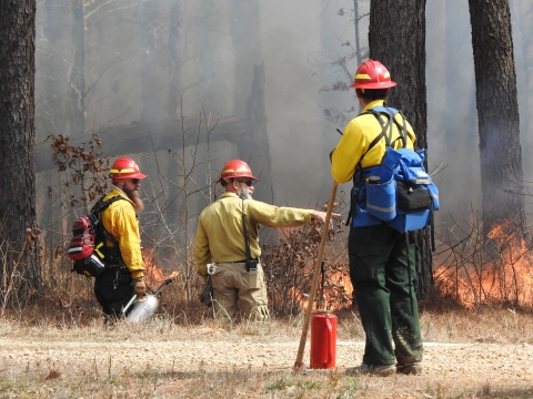 Three prescribed fire staff monitoring the status of a prescribed burn.