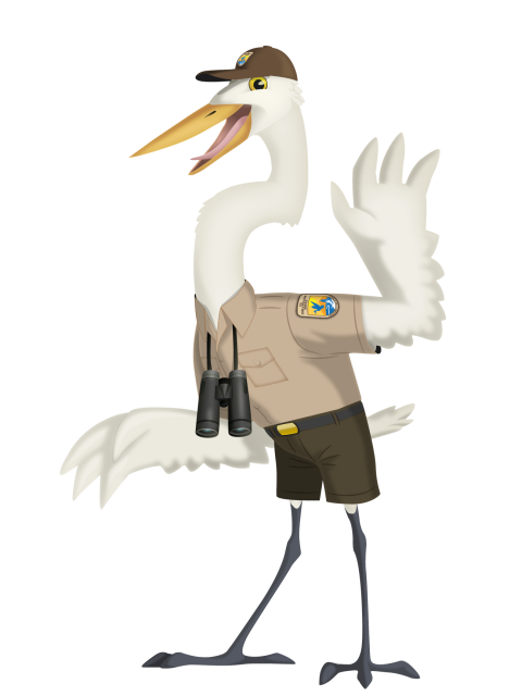 cartoon graphic of Agent Egret wearing a U.S. Fish and Wildlife Service uniform, shorts, hat, and binoculars.