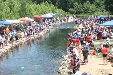 Crowd fishing at a creek 