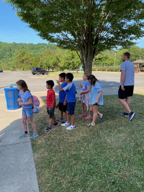 Children and adult under a tree 