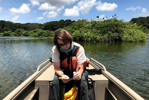 Refuge manager Kimberly Hayes conducts the woodstork annual count from a boat at Harris Neck National Wildlife Refuge. Wood storks nest on Woody Pond in the background.