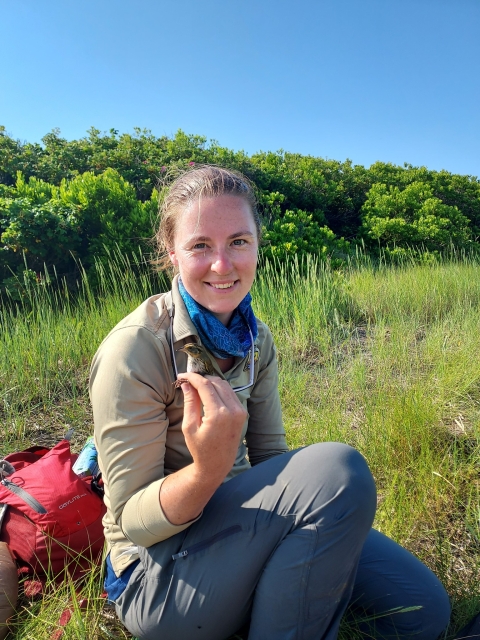 fish and wildlife biologist sits in the marsh holding a sparrow 
