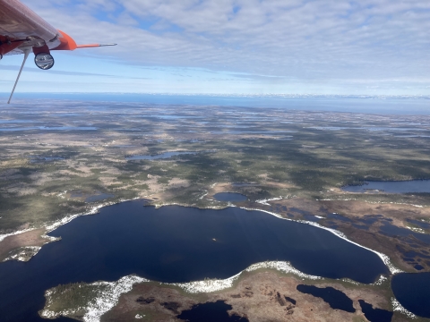 Aerial view of wetlands on a landscape in Newfoundland