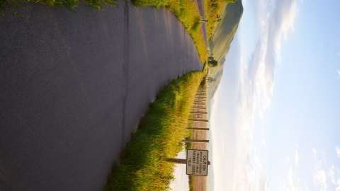 Paved pathway through grass near a wetland. 