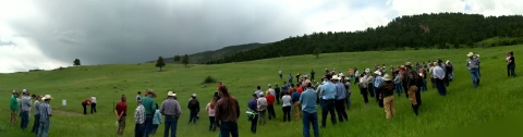 A large group of people standing in a grassy field.