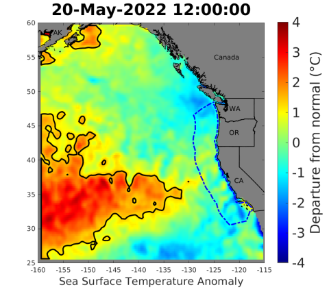Graph of sea surface temperature anomalies off the Pacific coast