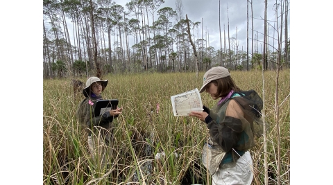 Two young women in tan hats stand in tall grass, holding papers in their hands. 