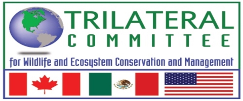 Logo of the Trilateral Committee, Canada Mexico and US flags and image of North America